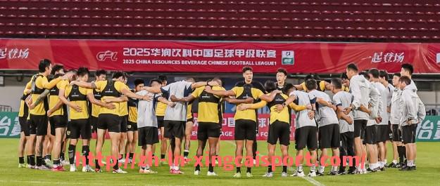 杏彩体育-法甲里昂门将扑救成功率与赛季表现分析