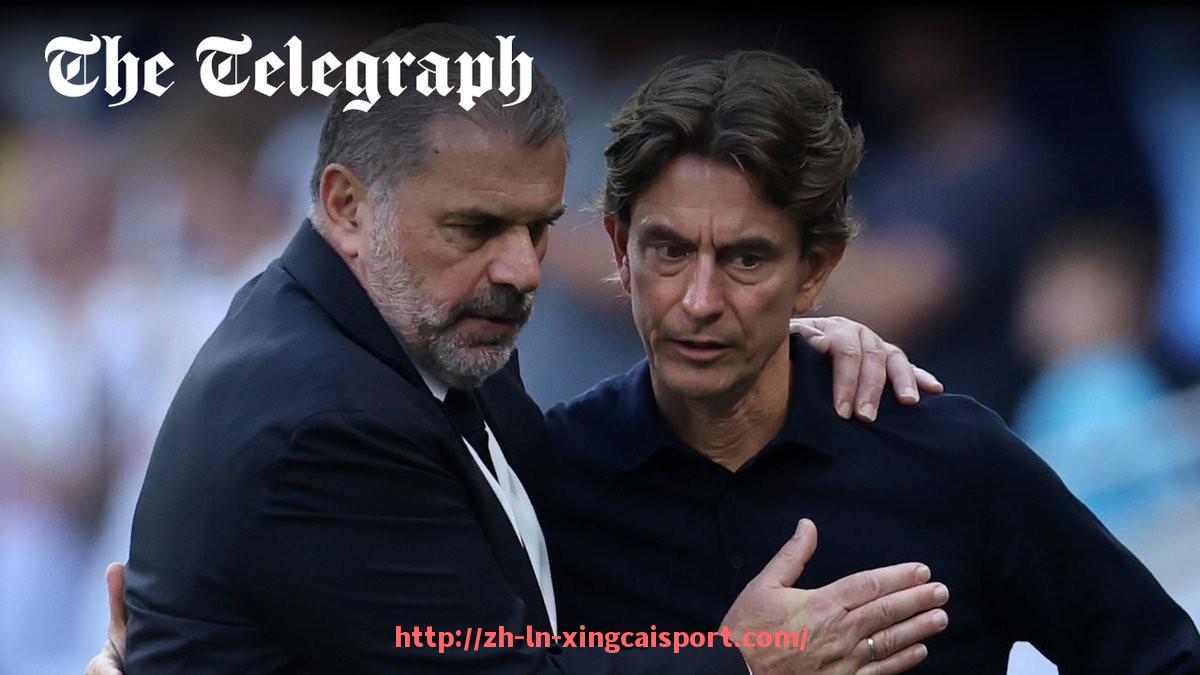 杏彩体育-汉堡重返德甲了吗?球队升降级之路大回顾