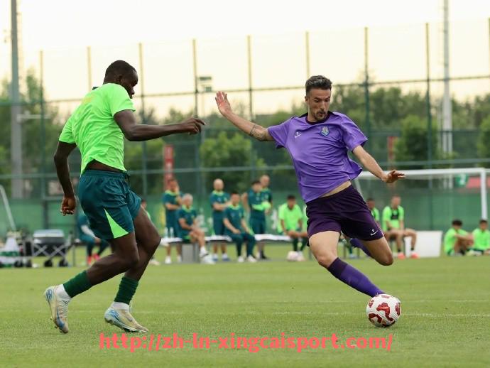 杏彩体育-英超联赛允许上场的租借球员数量限制规定