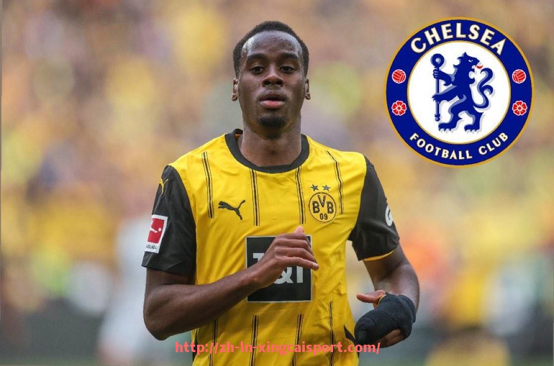 杏彩体育-世俱杯总进球球员名单统计与射手榜演变分析