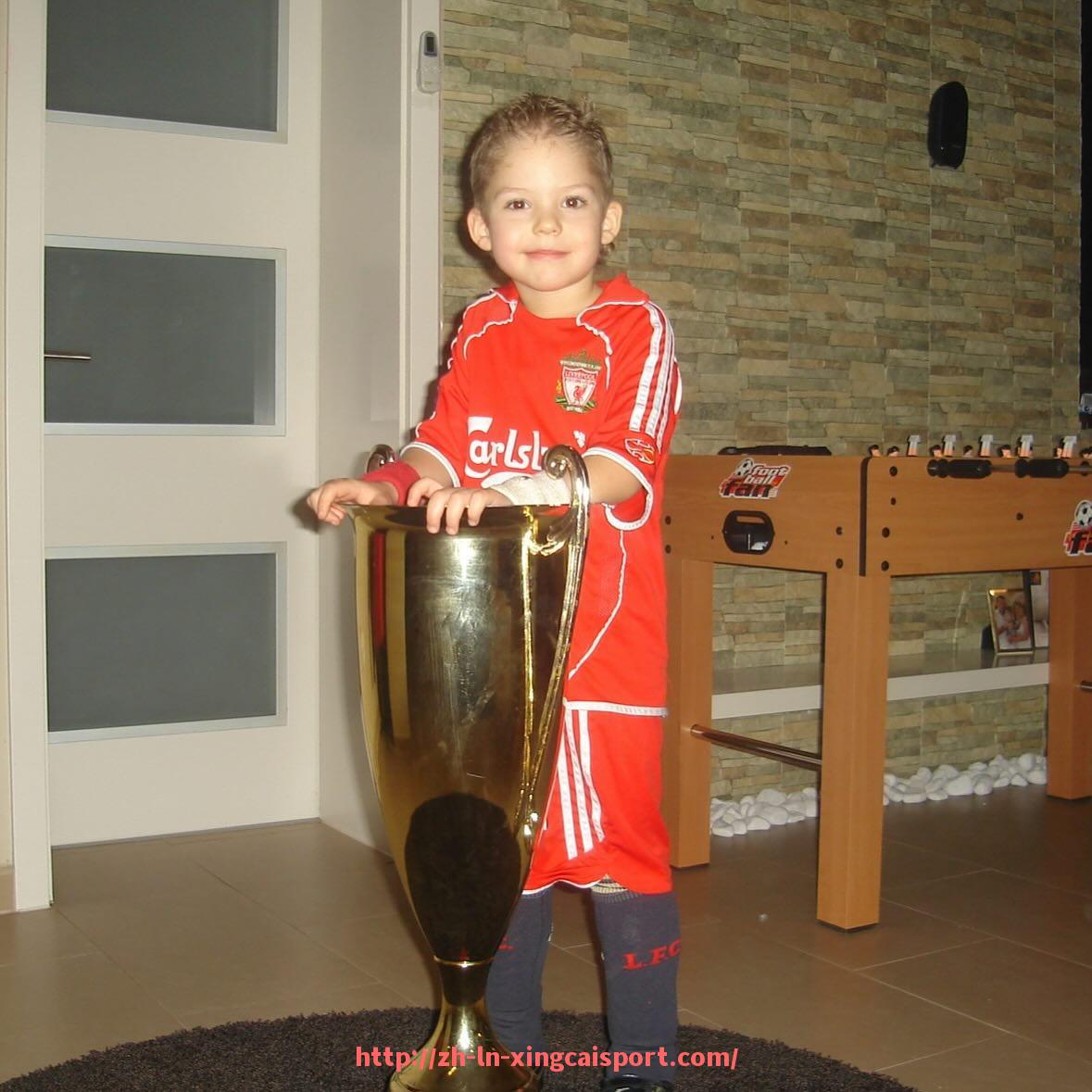 杏彩体育-世俱杯主办权交接机制与历届主办方更替流程解析